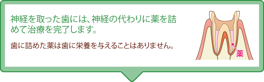 神経を取った歯には、神経の代わりに薬を詰めて治療を完了します。歯に詰めた薬は歯に栄養を与えることはありません